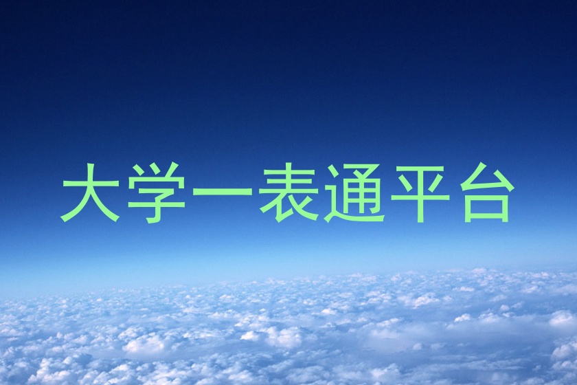 大学一表通平台
