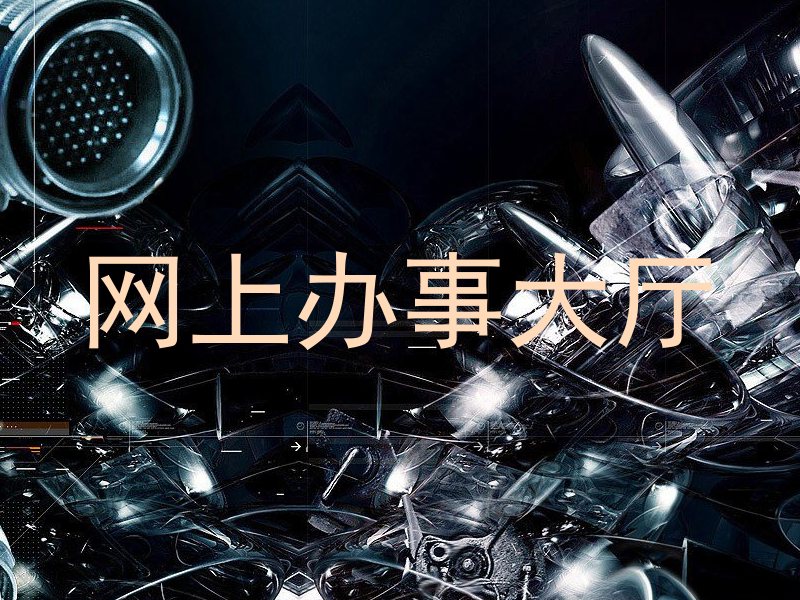 网上办事大厅