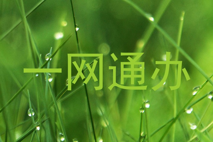 一网通办