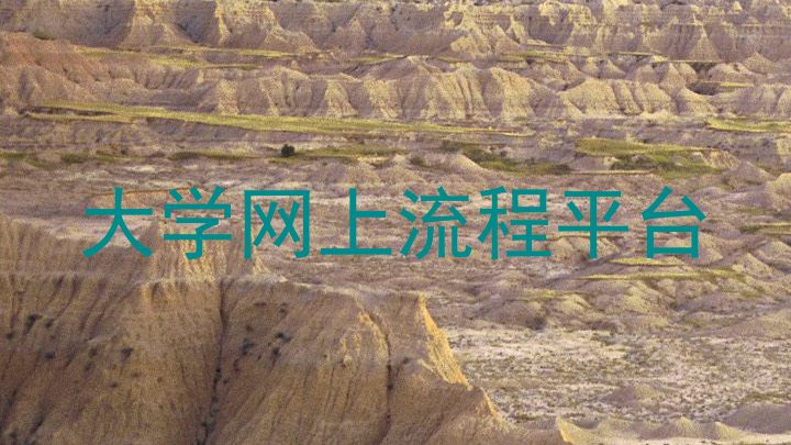 大学网上流程平台