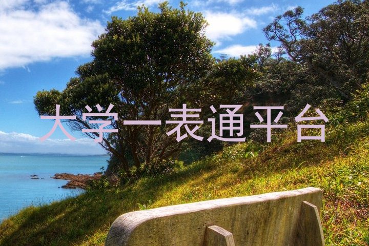 大学一表通平台