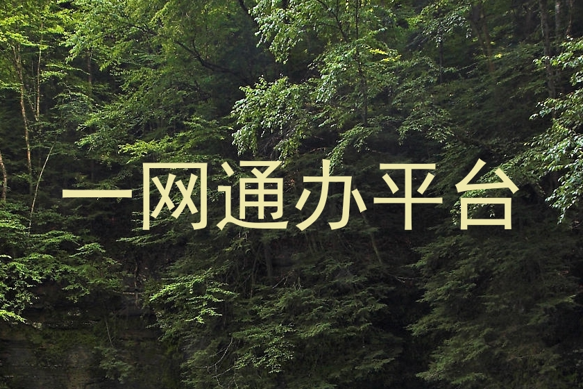 一网通办平台
