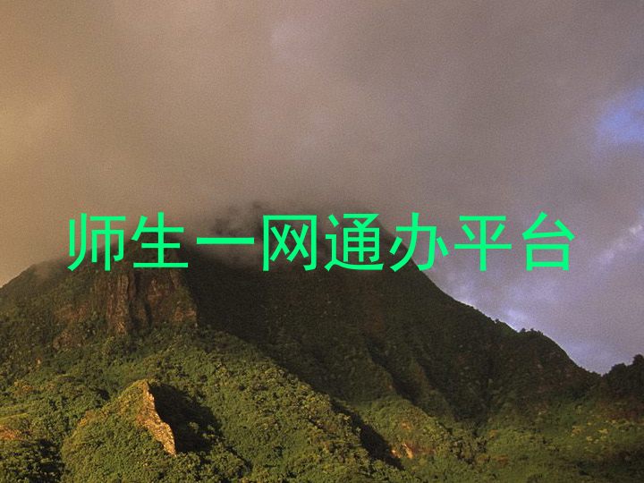 师生一网通办平台