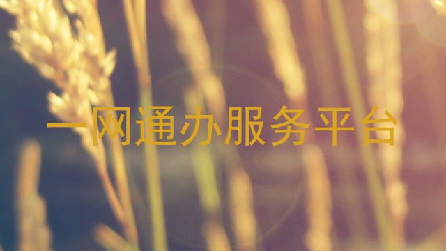 一网通办服务平台