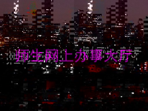 师生网上办事大厅