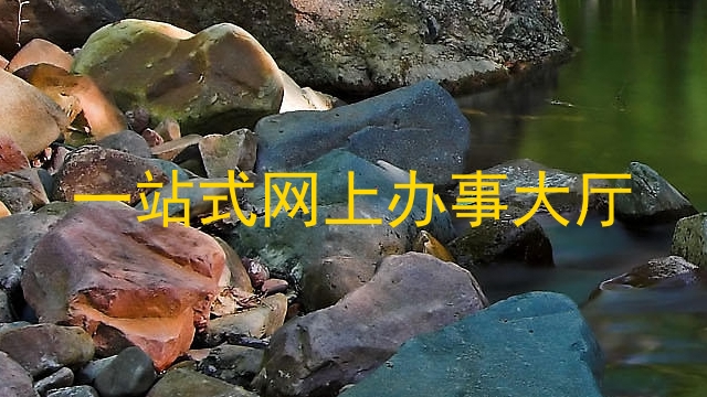 大学网上流程平台