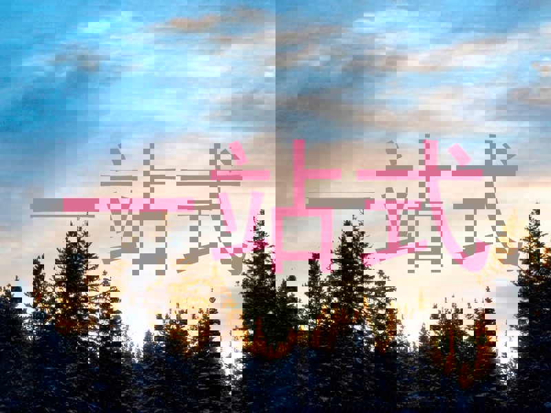 一站式