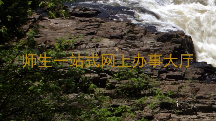 师生一站式网上办事大厅