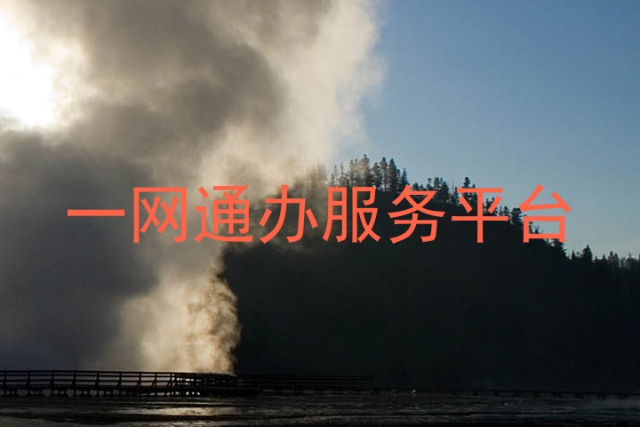 一网通办服务平台