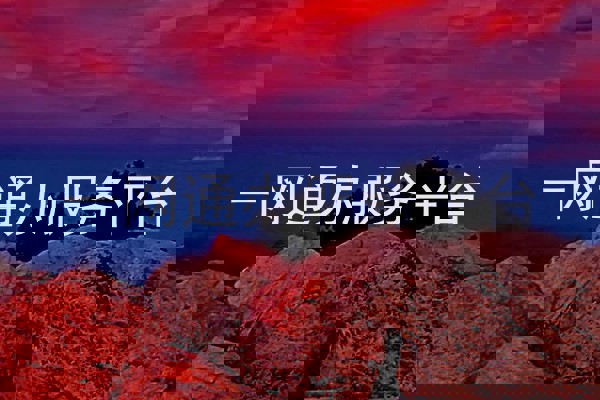 一网通办服务平台