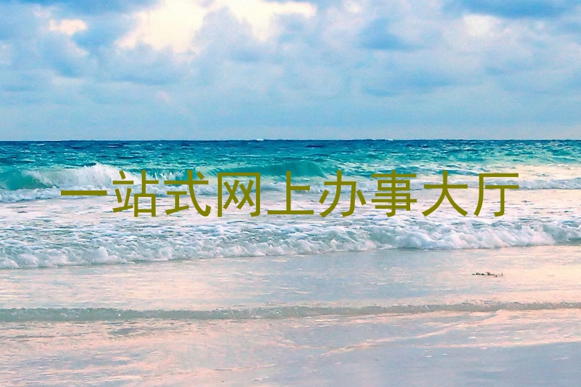 一站式网上办事大厅