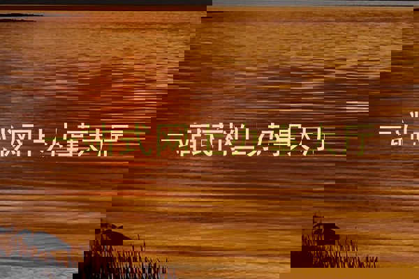 一站式网上办事大厅