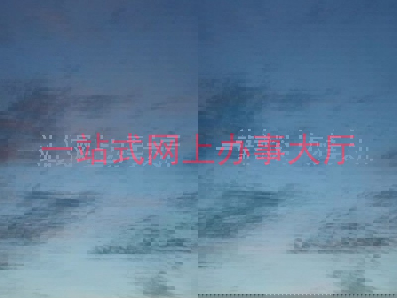 一站式网上办事大厅