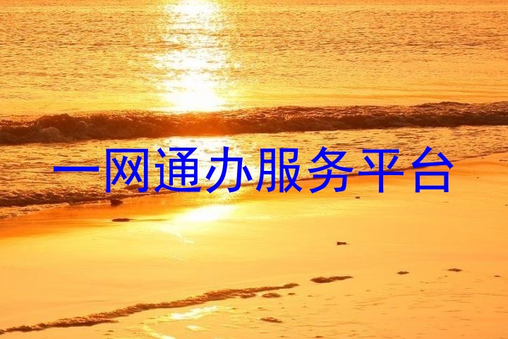 一网通办服务平台
