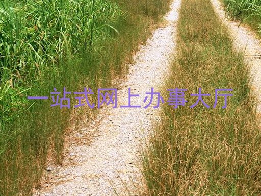 一站式网上办事大厅
