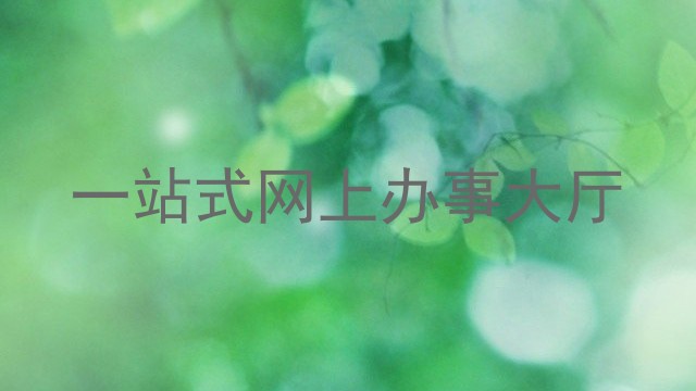一站式网上办事大厅