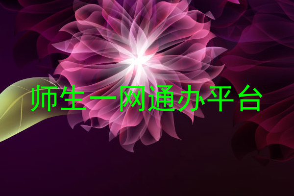 师生一网通办平台