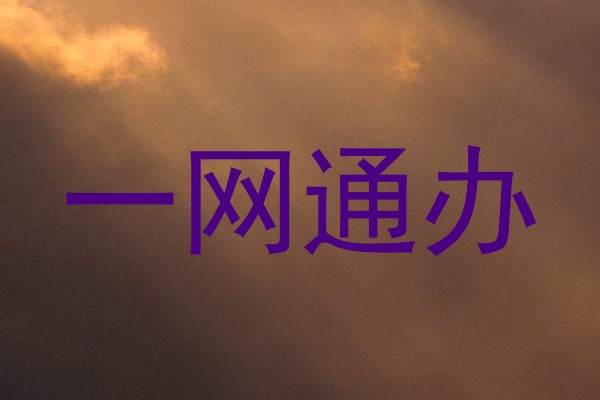 一网通办