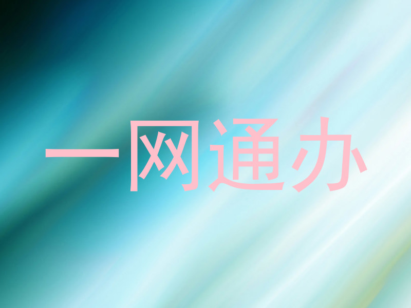 一网通办