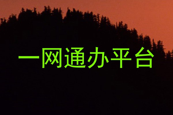 一网通办平台