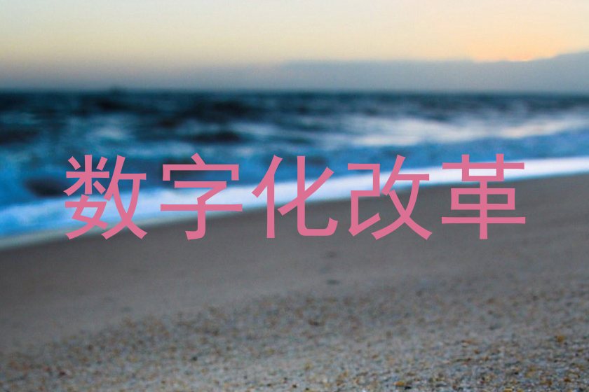 数字化改革