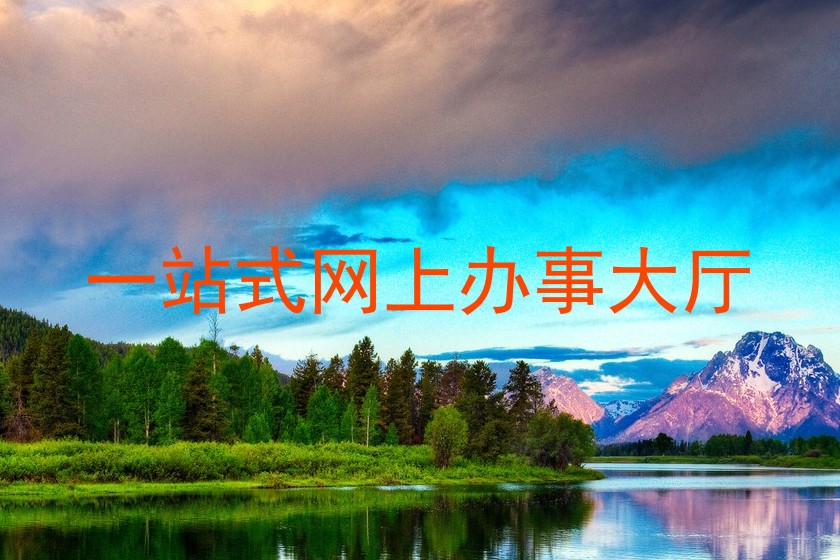一站式网上办事大厅
