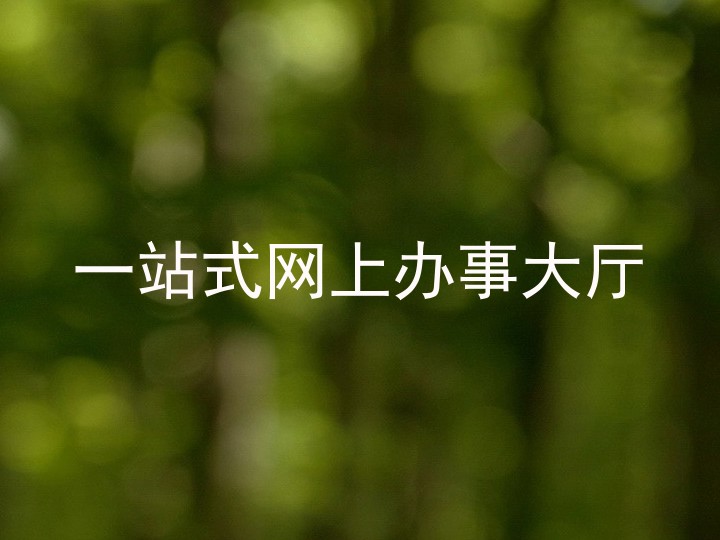 一站式网上办事大厅