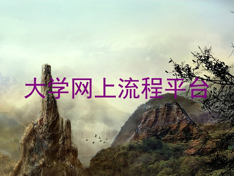 大学网上流程平台