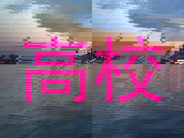 高校