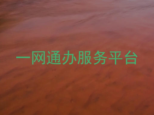 一网通办服务平台