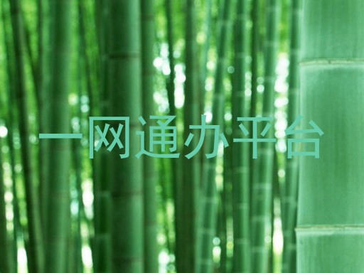 一网通办平台