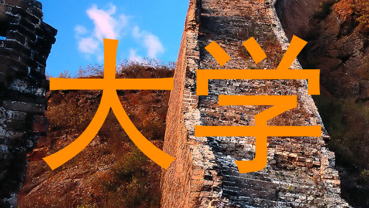 大学