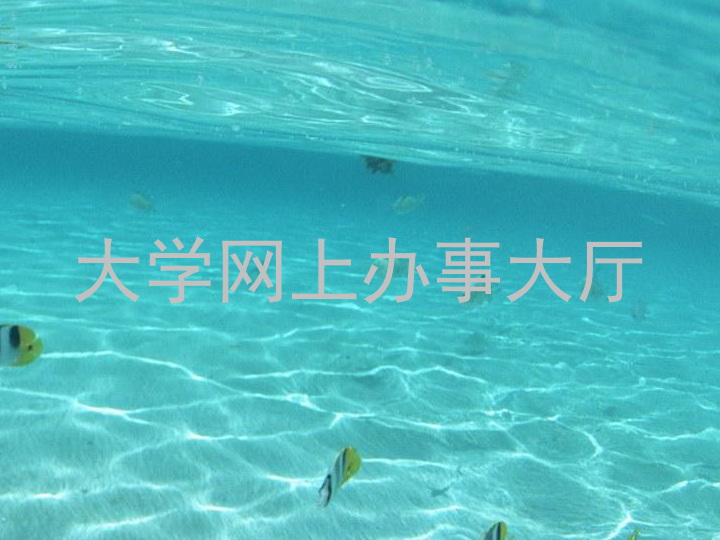 大学网上办事大厅