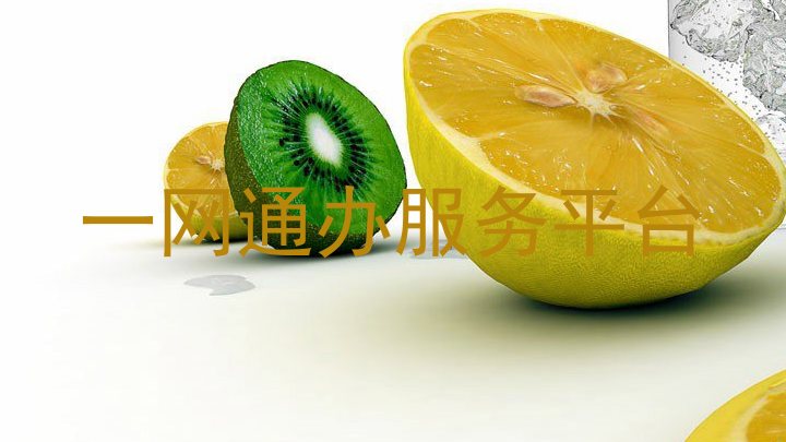 一网通办服务平台