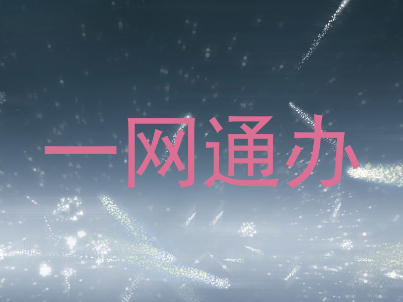 一网通办