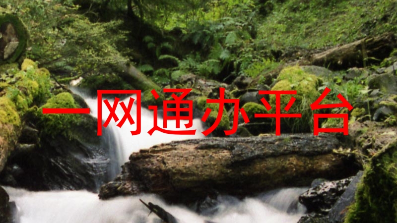 一网通办平台