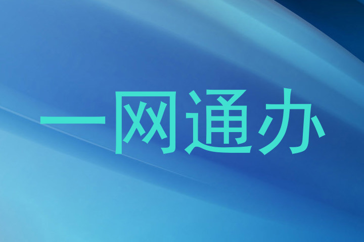 一网通办