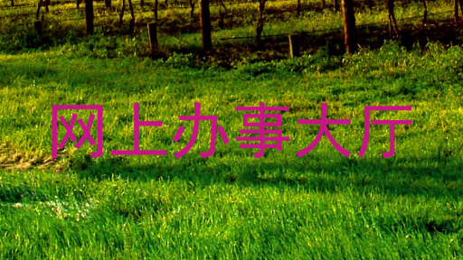 网上办事大厅