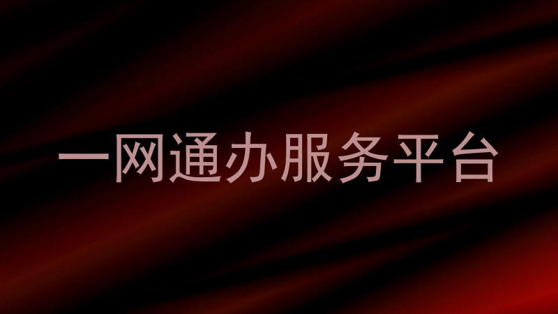 一网通办服务平台