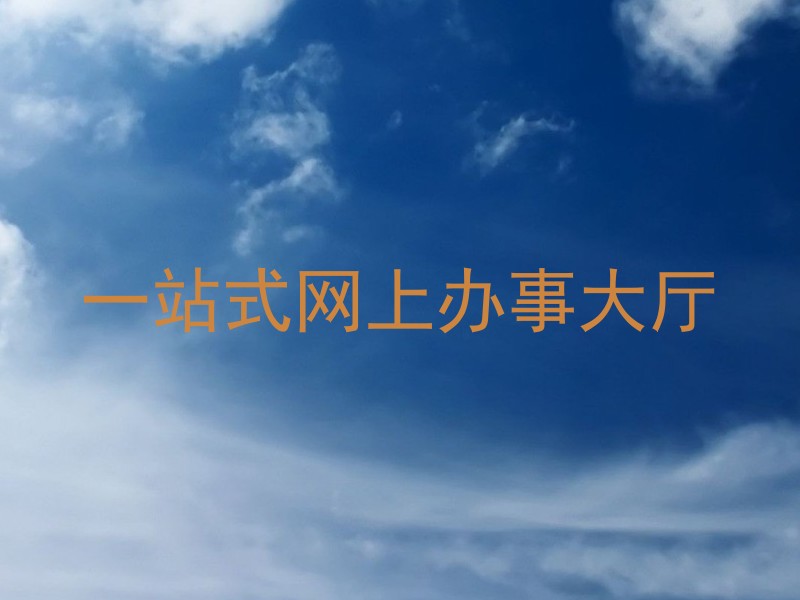 一站式网上办事大厅