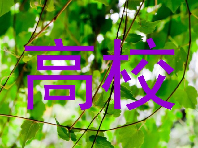 高校