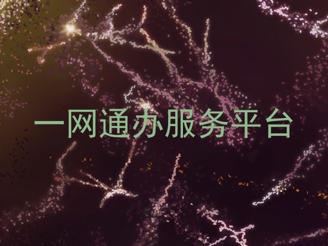 一网通办服务平台
