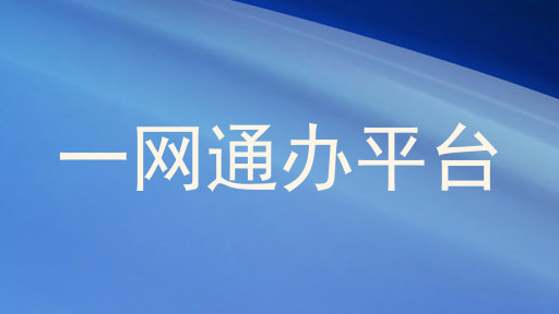 一网通办服务平台