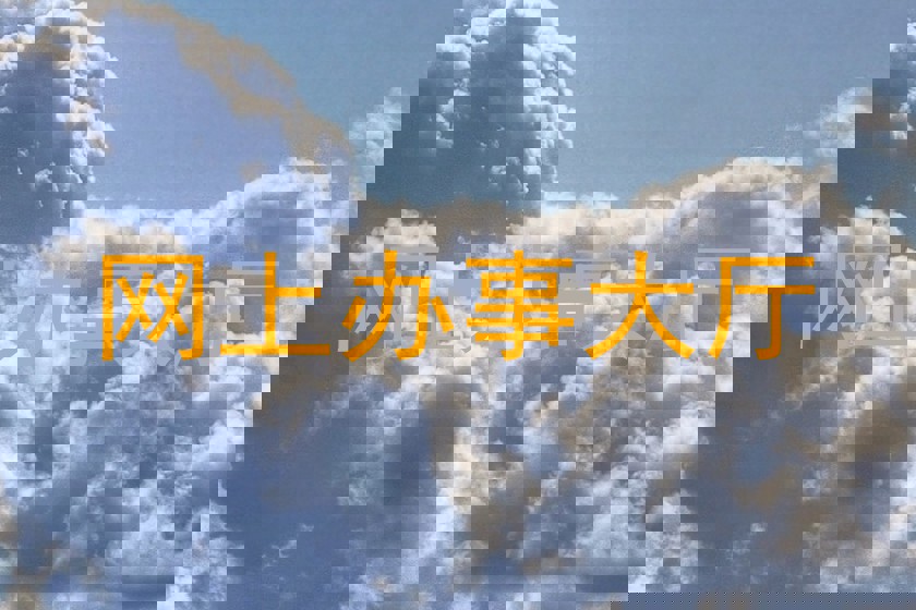 网上办事大厅