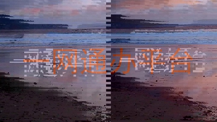 一网通办