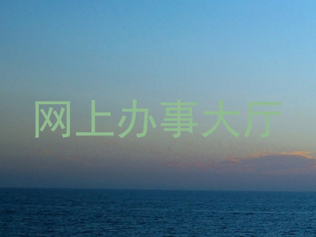 网上办事大厅