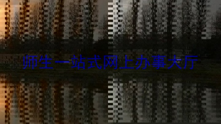 师生一站式网上办事大厅