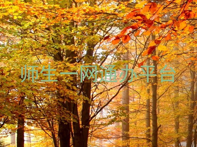 师生一网通办平台