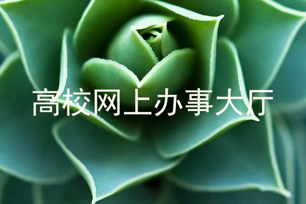 高校网上办事大厅