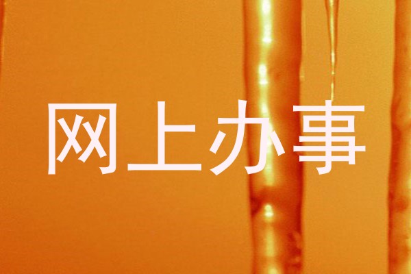 网上办事